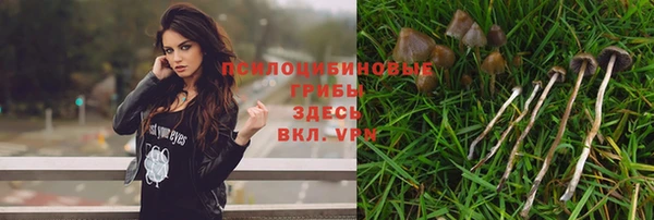 дурь Алзамай