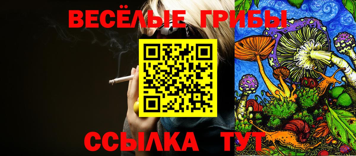 Галлюциногенные грибы Psilocybine cubensis Саки