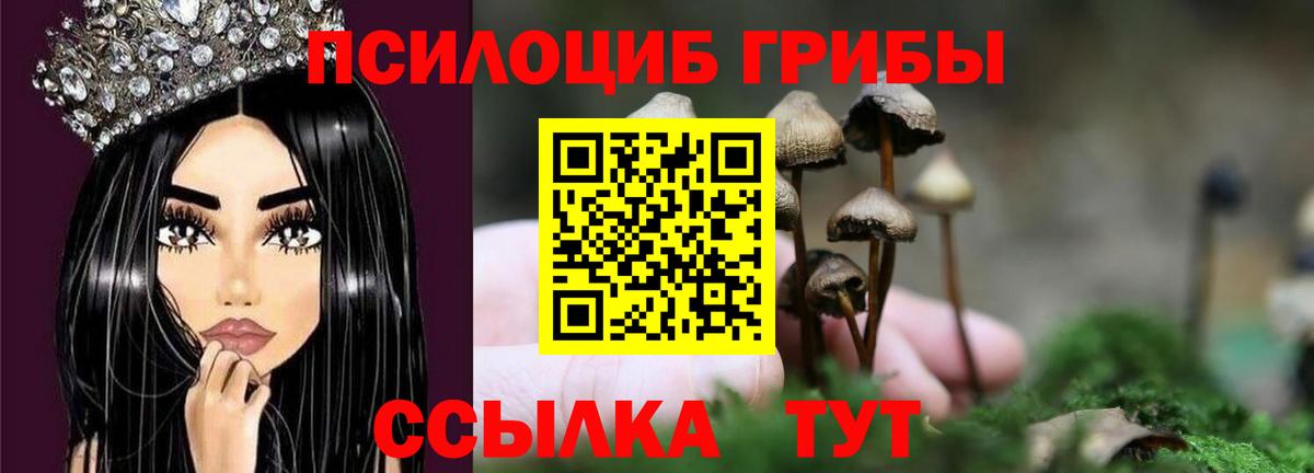 Саки  Галлюциногенные грибы Psilocybine cubensis  Вход с VPN 